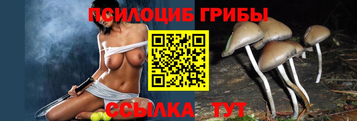 Псилоцибиновые грибы Psilocybe  Галлюциногенные грибы MAGIC MUSHROOMS  Вход с VPN  Мелеуз 
